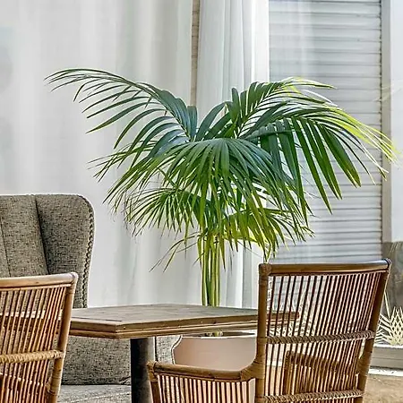 Hotel Metropol 4*