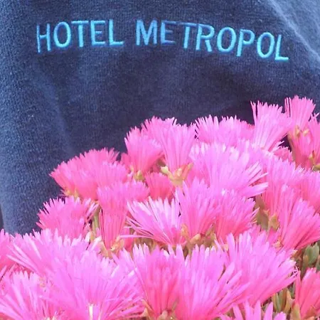 酒店 Metropol 滨海略雷特