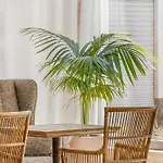 Hotel Metropol Lloret de Mar