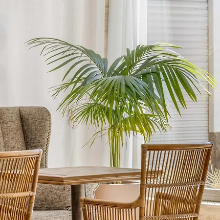 Hotel Metropol Lloret de Mar